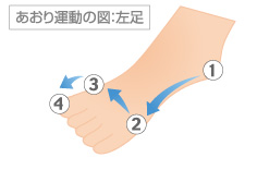 あおり運動の図